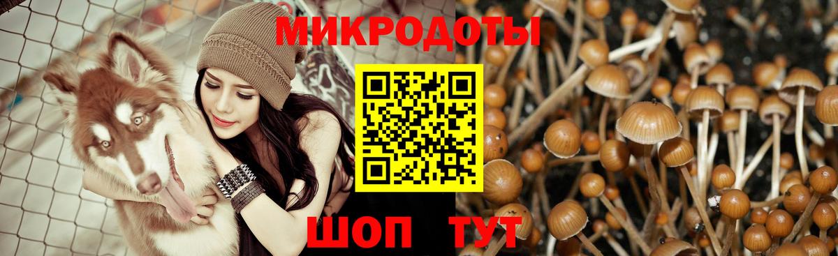 Галлюциногенные грибы мицелий Ярцево